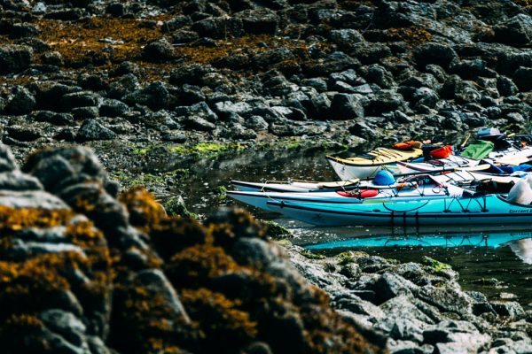 Ocean kayaks in a rocky kelp filled cove in the Great Bear Rainforest region.