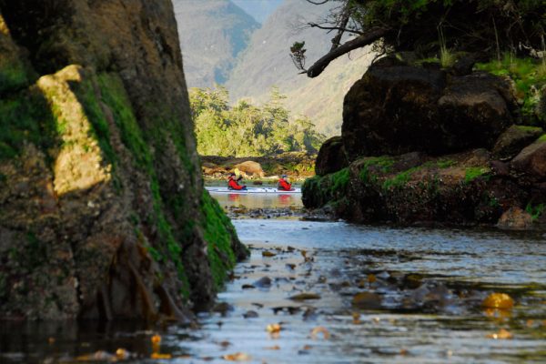 kayak patagonia wildlife