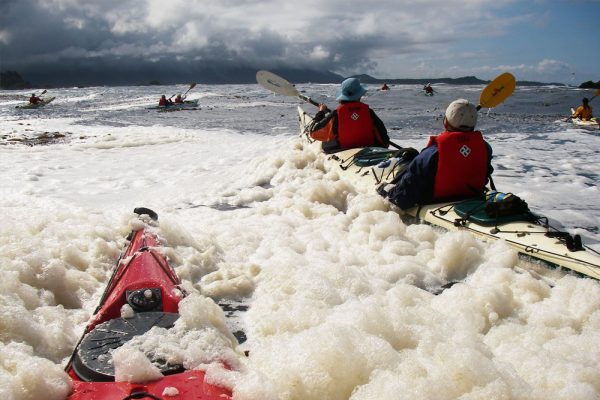 A group of kayakers paddling through sea foam on the west coast