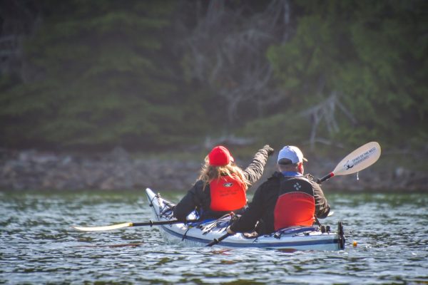 Two kayakers in a double kayak pointing at the shoreline in Coastal BC