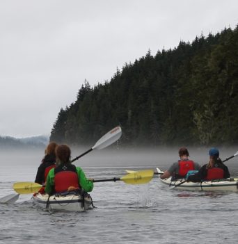 Orca Kayaking Vancouver Island | Spirit Of The West Adventures