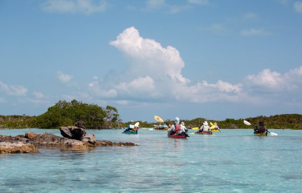 A group of kayakers paddling in The Bahamas