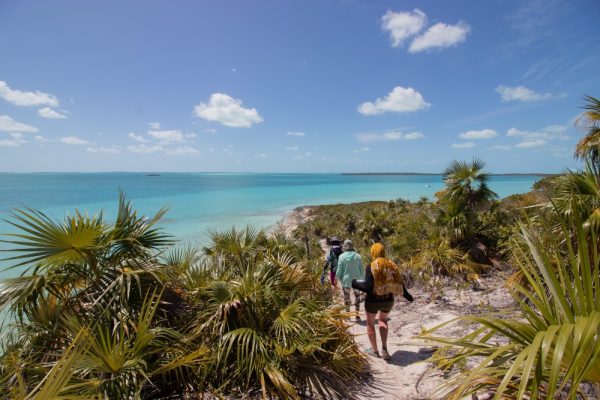 People walking down a trail to the ocean surrounded by tropical plants