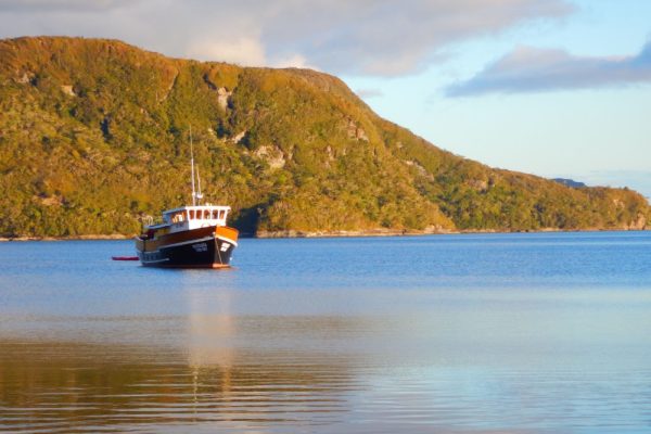 Expedition yacht anchored in Chilean waters